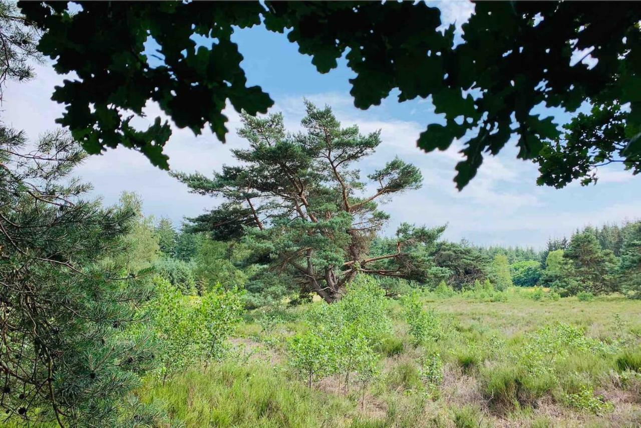 Zonnebos, Private Garden, Fresh Air, Relax! Villa Otterlo Exterior photo